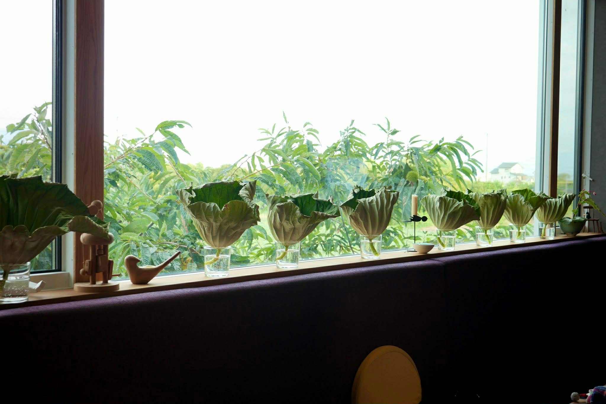 蓮を想ふ会を終えて | 蓮溪 邦枝（はすたにくにえ）Nouvelle SHOJIN 新